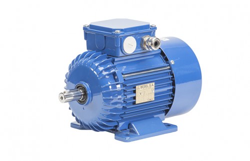 Motor AC Monofásico 0.33HP 0.25kW - 1500RPM 225x124x165mm 230V Semh — Cantoni — CANTONI