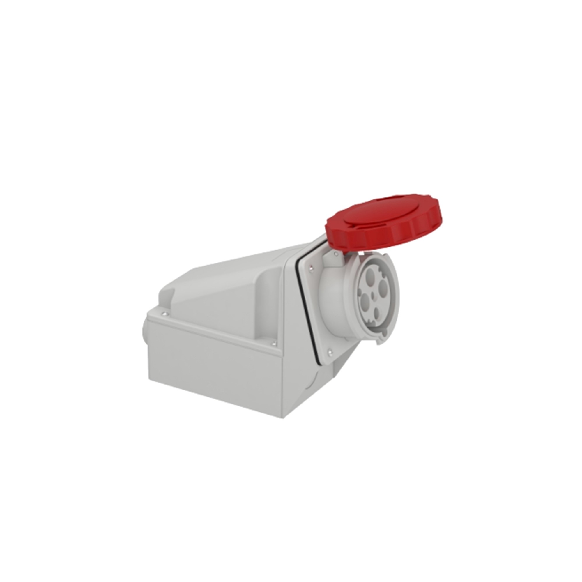 Hembra IND S/P 380/415V 63A 3P+T IP67 81182 Schneider Electric — Schneider Electric