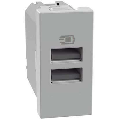 Cargador USB Aa 1 Módulo Gris JG4191AA — BTicino — Bticino