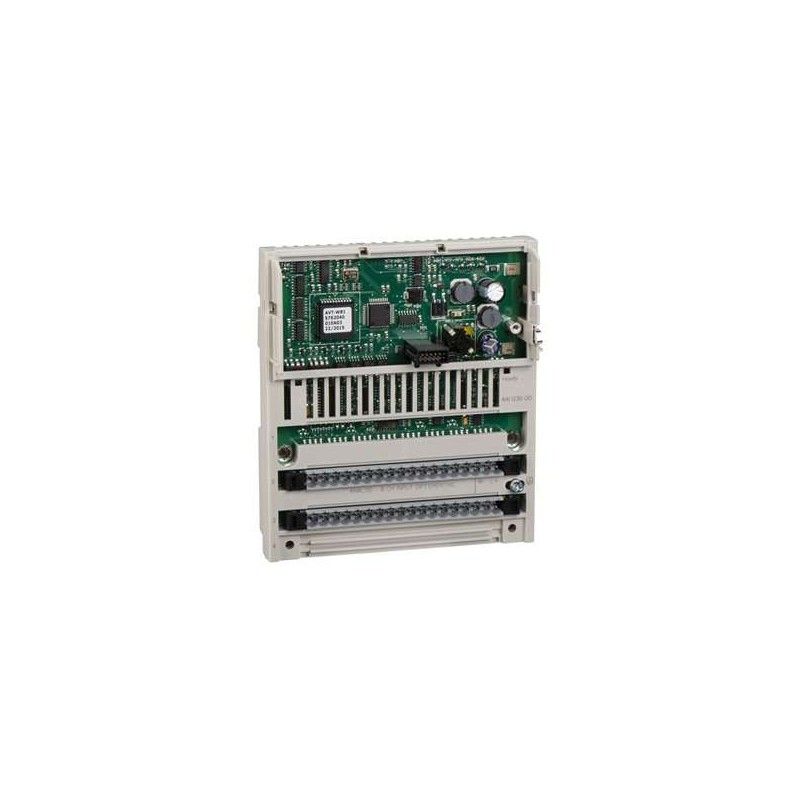 Momentum 16E Analog Multirango 170AAI14000 — Schneider Electric — Schneider Electric