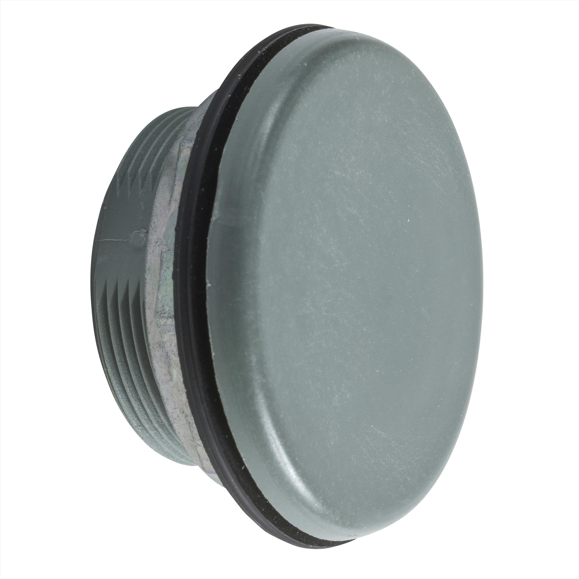 Tapon Obturador Diam 30mm 9001K51 — Schneider Electric — Schneider