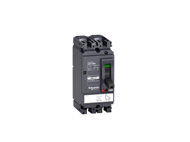 Interruptor caja moldeada 2x20A 85kA COMPACT NSX — Regulable 43860359 Schneider — Schneider