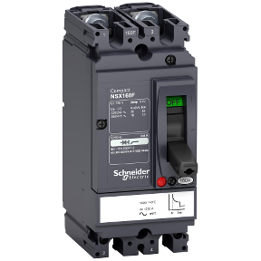 Interruptor caja moldeada 2x160A 36kA COMPACT NSX — Regulable 43870059 Schneider — Schneider