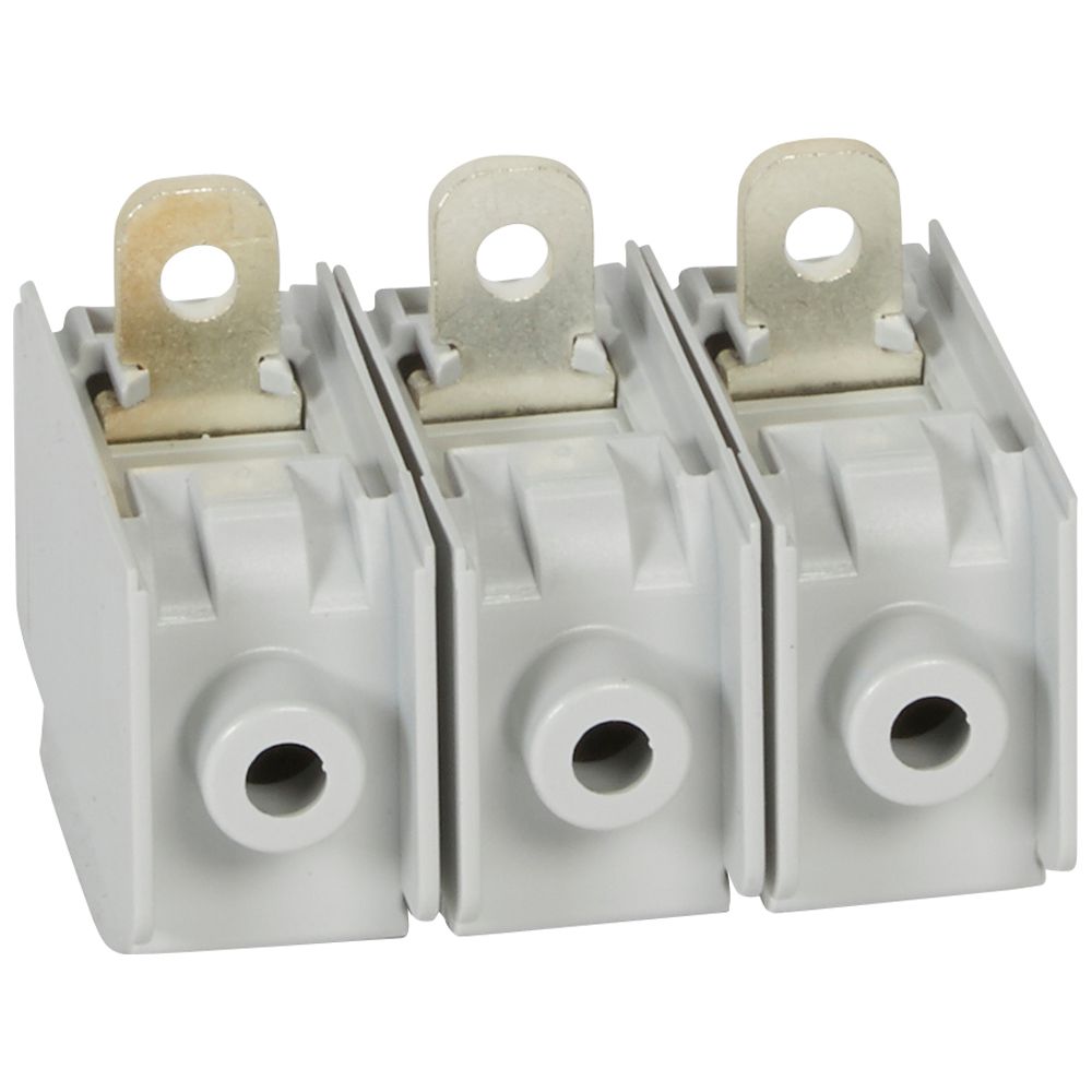 SET BORNES GRAN CAPACIDAD CAJA MOLDEADA DISYUNTOR termomagnético 160 421026 Legrand — Legrand