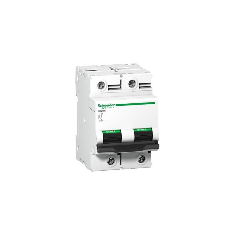 Interruptor automático 2x100A A9N18362 Schneider — Schneider Electric