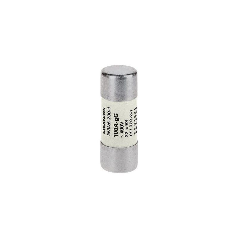 Sentron, Cartucho Fusible Cilíndrico, 22x58mm, 63 a, Gg, Un AC: 500V 3NW6222-1 — Siemens — Siemens