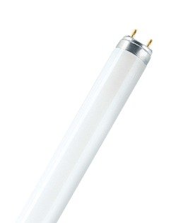 Tubo Fluo T8 18W/640 4000°K G13 Bl/frio 7005979 — Osram — Osram