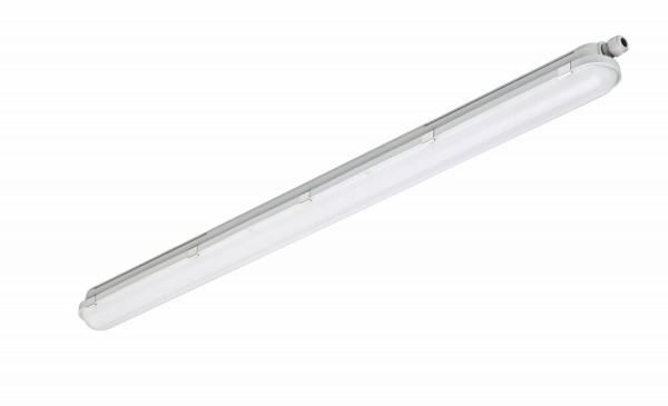 Equipo Hermetico LED WT120C 42.9W 6000lm 4.000K IP65 IK08 1515mm 911401823880 — Philips — Philips
