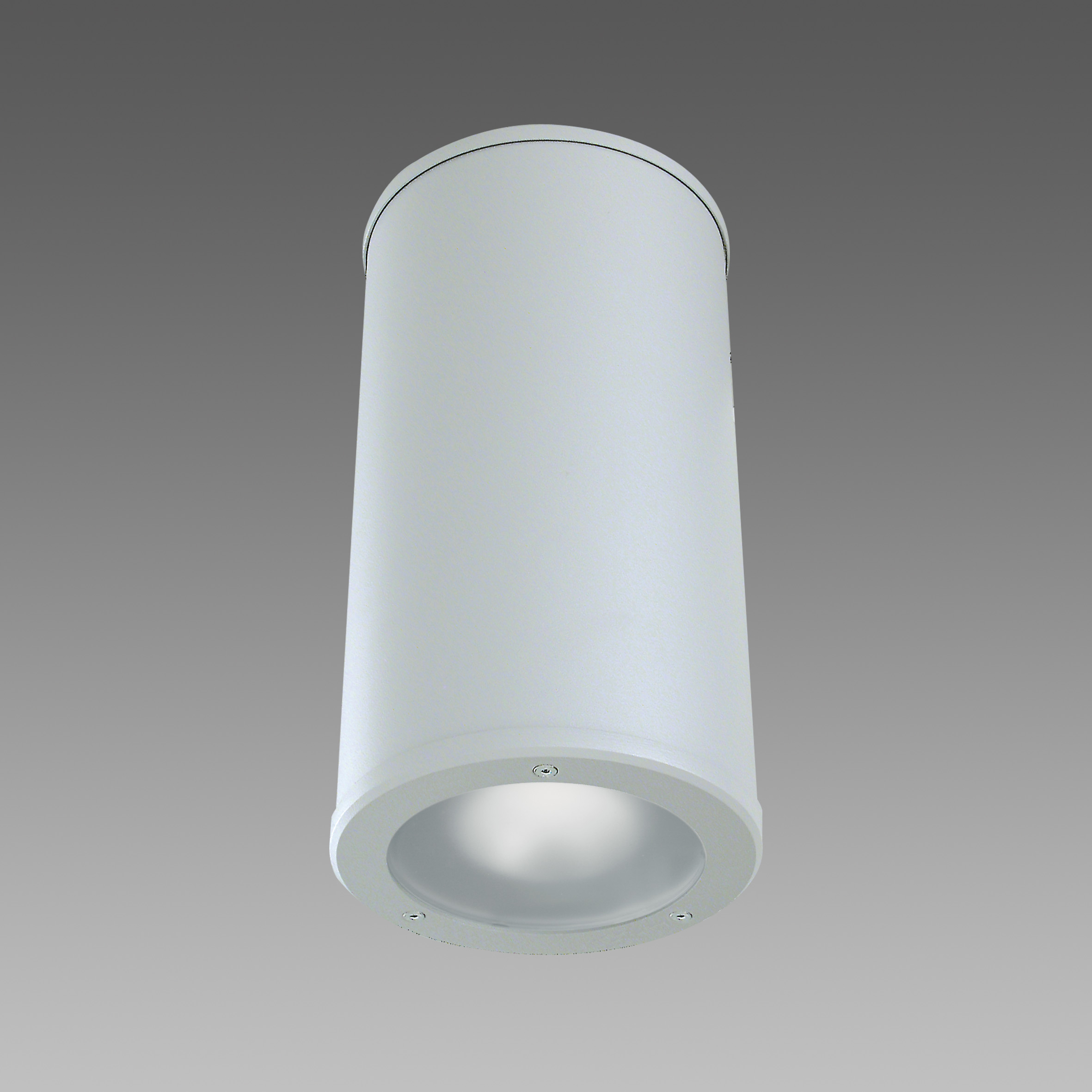 Plafón CILINDRO LED 25W 3000LM 4K IP65 PLATA 420435-00 Disano — Disano