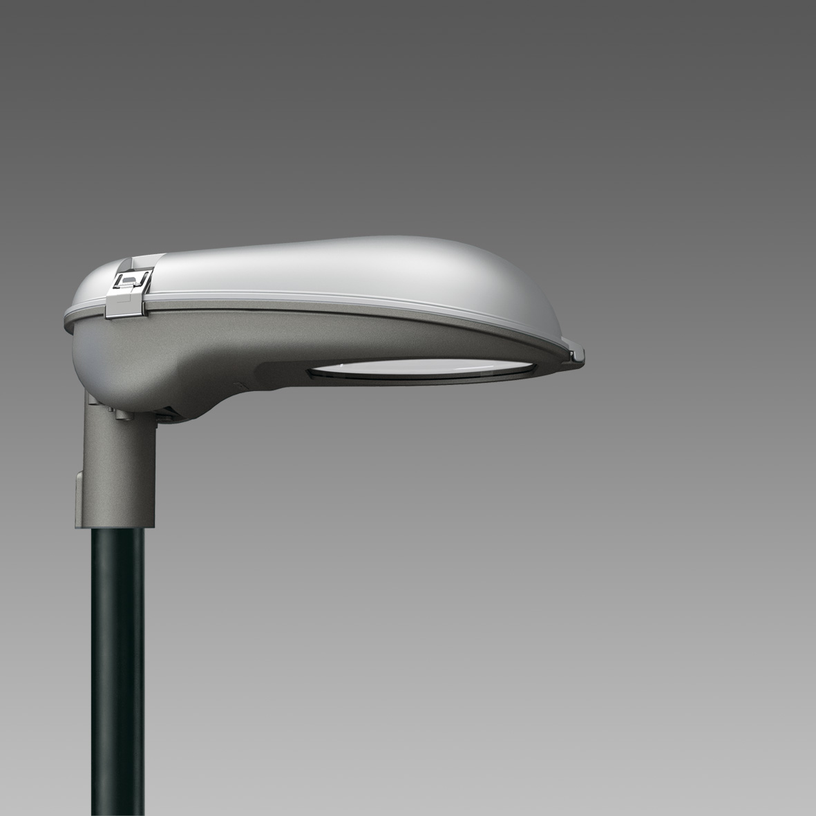 Luminaria Ap Sodio 100W E40 IP66 Grafito Plata 324351-00 — Disano — Disano