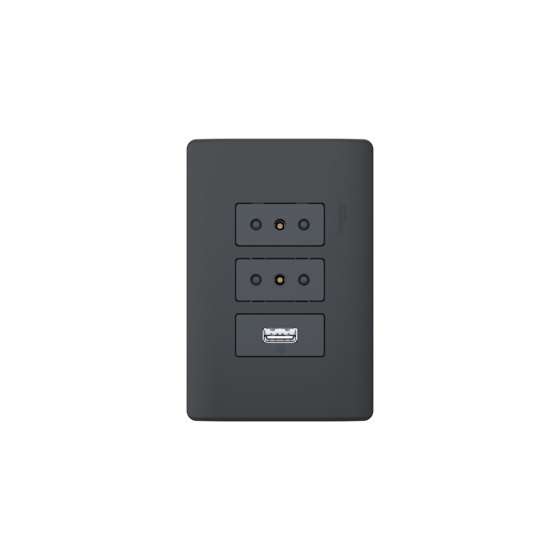 Placa Genesis Armada 2 Toma Corriente 10A + 1 USB MWD69956 — Schneider Electric — Schneider Electric