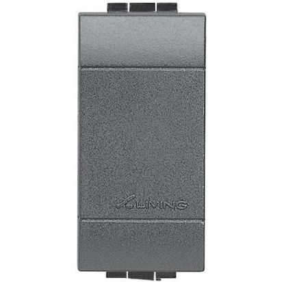Falso Polo L&L 1 Mod Livinglight Ng L4950 — BTicino — Bticino