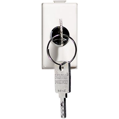 Interruptor Bipolar con Llave Matix AM5007 — BTicino — Bticino