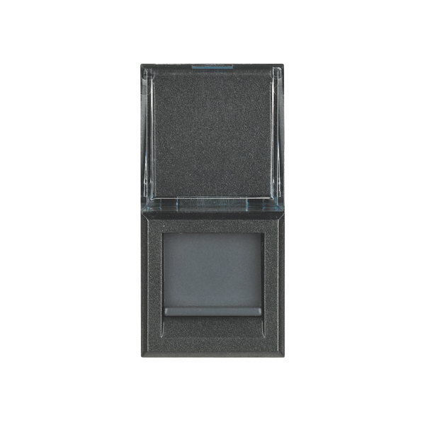 Conector Rj 45 Axolute Color Antracita HS4279C6 — BTicino — BTicino