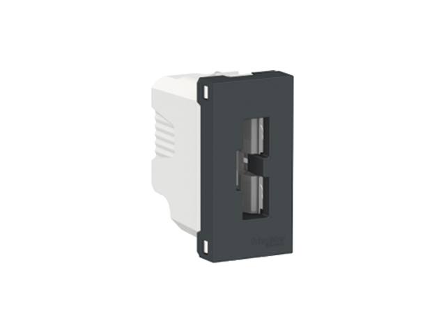 Toma Computacion Orion 10A 250V 2P+T 1 Modulo, Grafito S70241094 — Schneider Electric — Schneider Electric