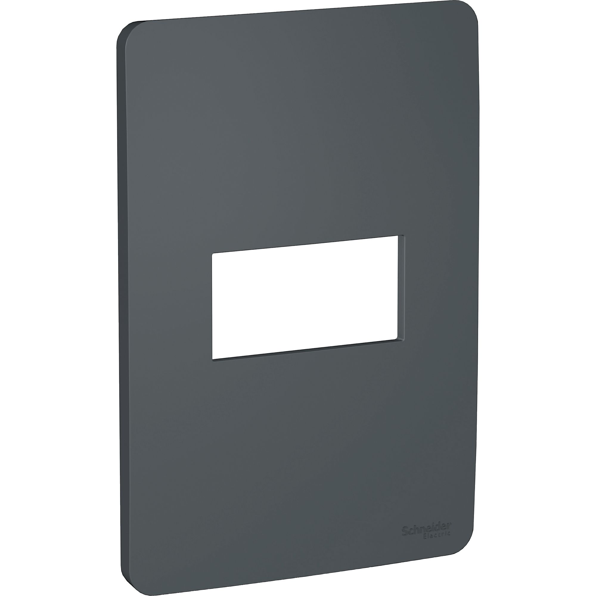 Placa Orion 1 Modulo, Stellar Black S730101294 — Schneider Electric — Schneider Electric