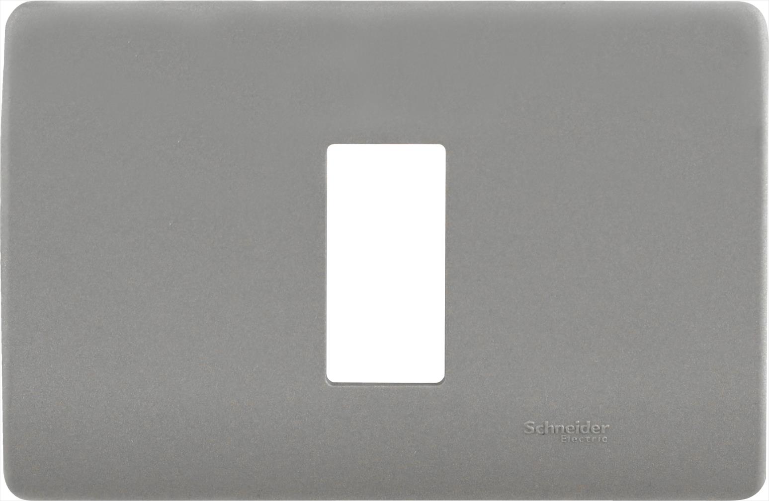 Placa Genesis 1 Modulo con Soporte, Niquel MWD130407451 — Schneider Electric — Schneider Electric