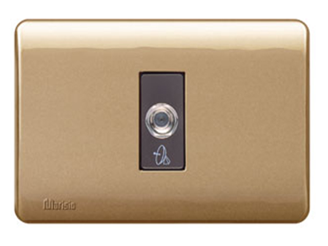 Placa Genesis Armada con Toma Coaxial Tv, Dorado MWD130347824 — Schneider Electric — Schneider Electric