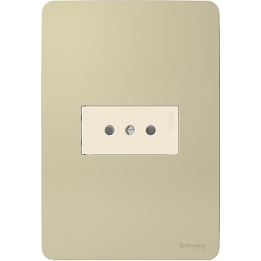 Placa Armada con Toma Corriente Simple Orion, Horizon Gold S713028234 — Schneider Electric — Schneider Electric