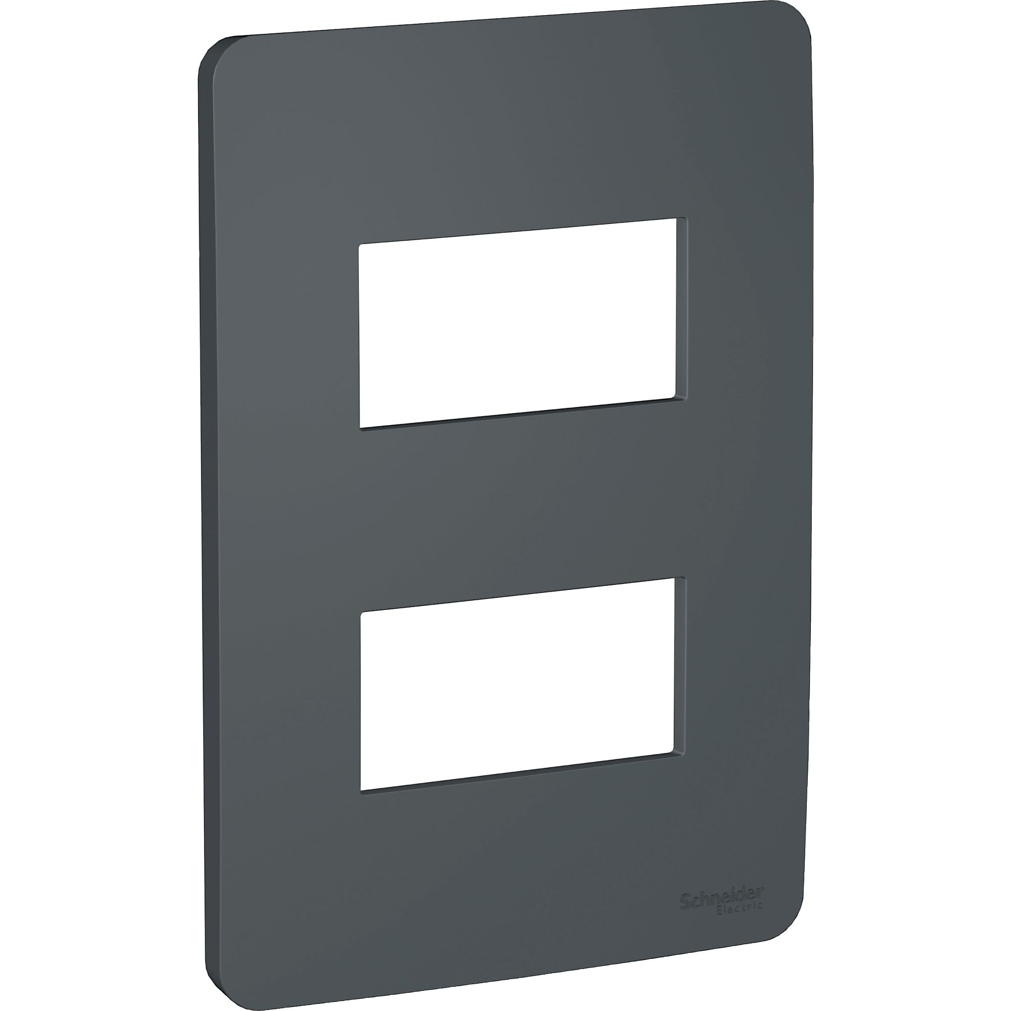 Placa Orion 2 Modulos, Stellar Black S730121294 — Schneider Electric — Schneider Electric
