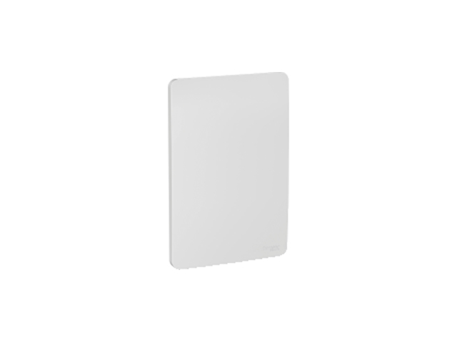 Placa Orion Ciega, Gamma Silver S730100274 — Schneider Electric — Schneider Electric