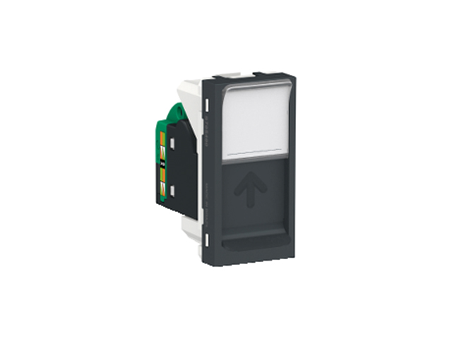 Toma de Datos RJ45 Tipo UTP Orion CAT5E 1 Modulo, Grafito S70540094 — Schneider Electric — Schneider Electric