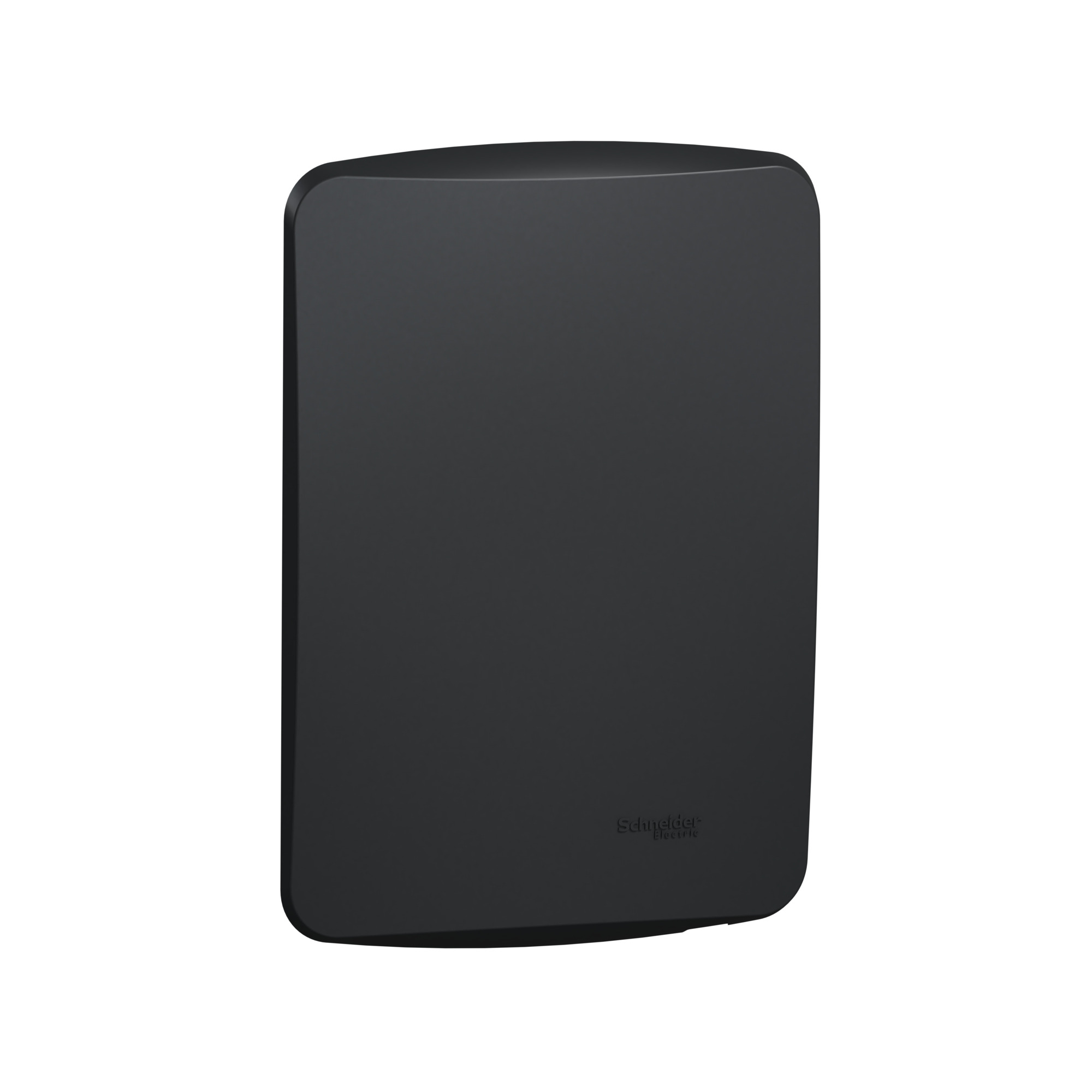 Placa Miluz Ciega Con Soporte Grafito S3B77101 — Schneider Electric — Schneider Electric