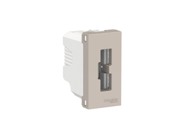 Toma Computacion Orion 2P+T 10A 250V 1 Modulo, Beige S70241064 — Schneider Electric — Schneider Electric