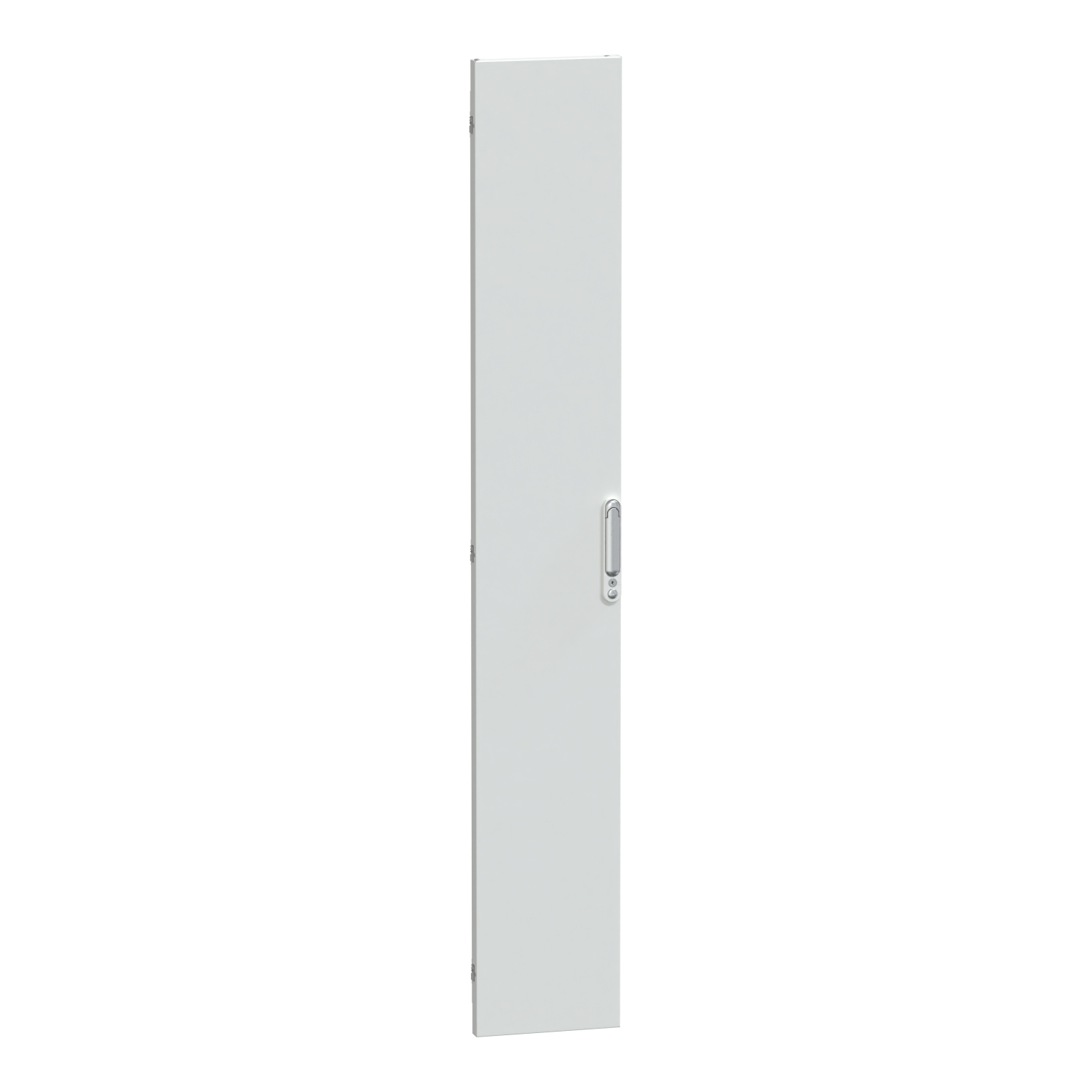 Puerta Pl P IP55 Ancho 300mm LVS08523 — Schneider Electric — Schneider