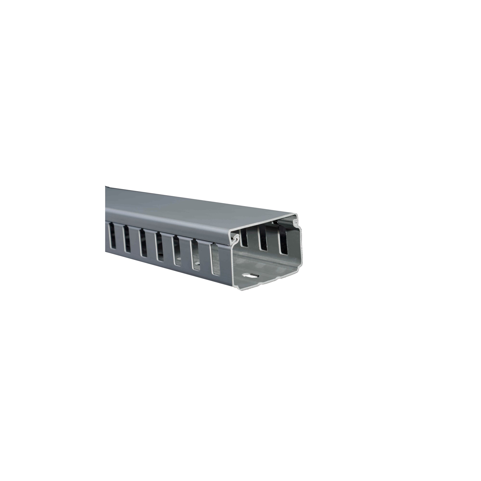 Canaleta Ranurada Dexson, Gris, 60x40 DXN10082 — Schneider Electric — Schneider Electric