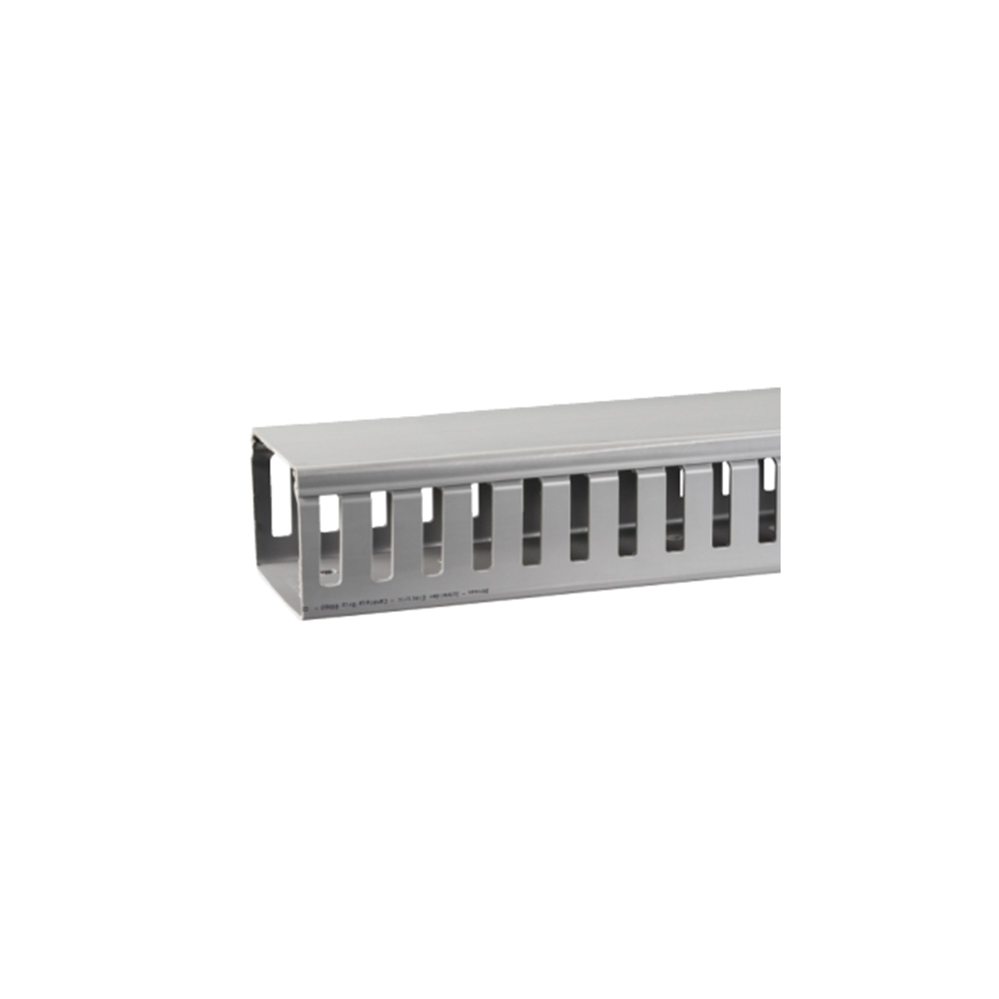 Canaleta Ranurada Dexson, Gris, 80x60 DXN10112 — Schneider Electric — Schneider Electric