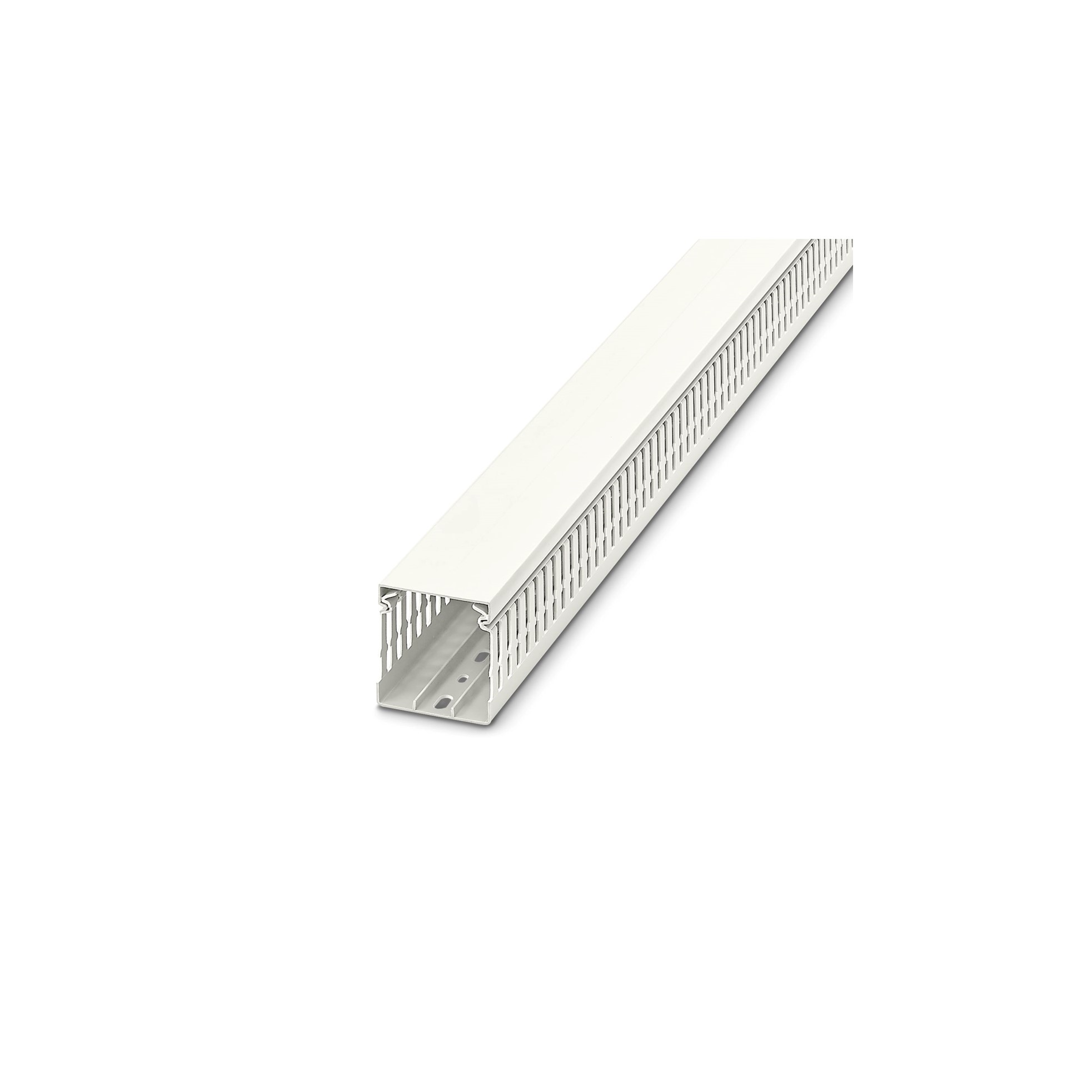 Canaleta portaconductores Blanca ranurada -CD 60X60 WH -3240629 Phoenix Contact — Phoenix Contact
