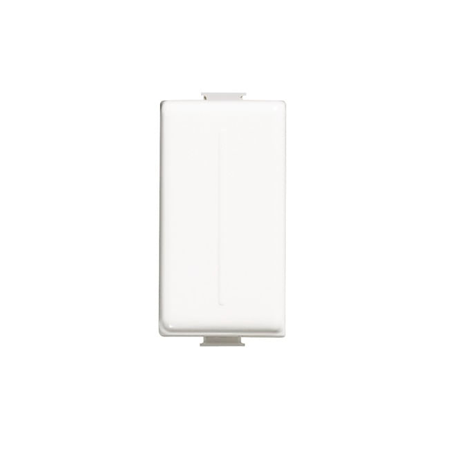 Modulo Falso Polo Blanco Matix AM5000C (158648) — BTicino