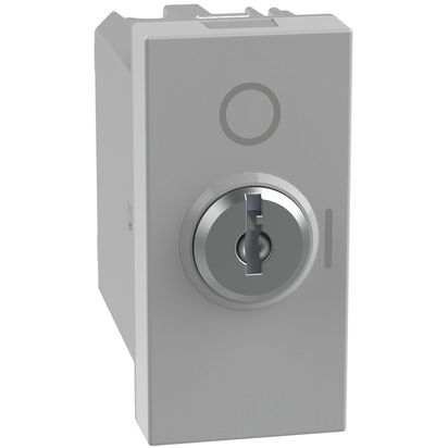 Módulo Interruptor 2P 16AX con Llave Gris JG4012 — BTicino — BTicino