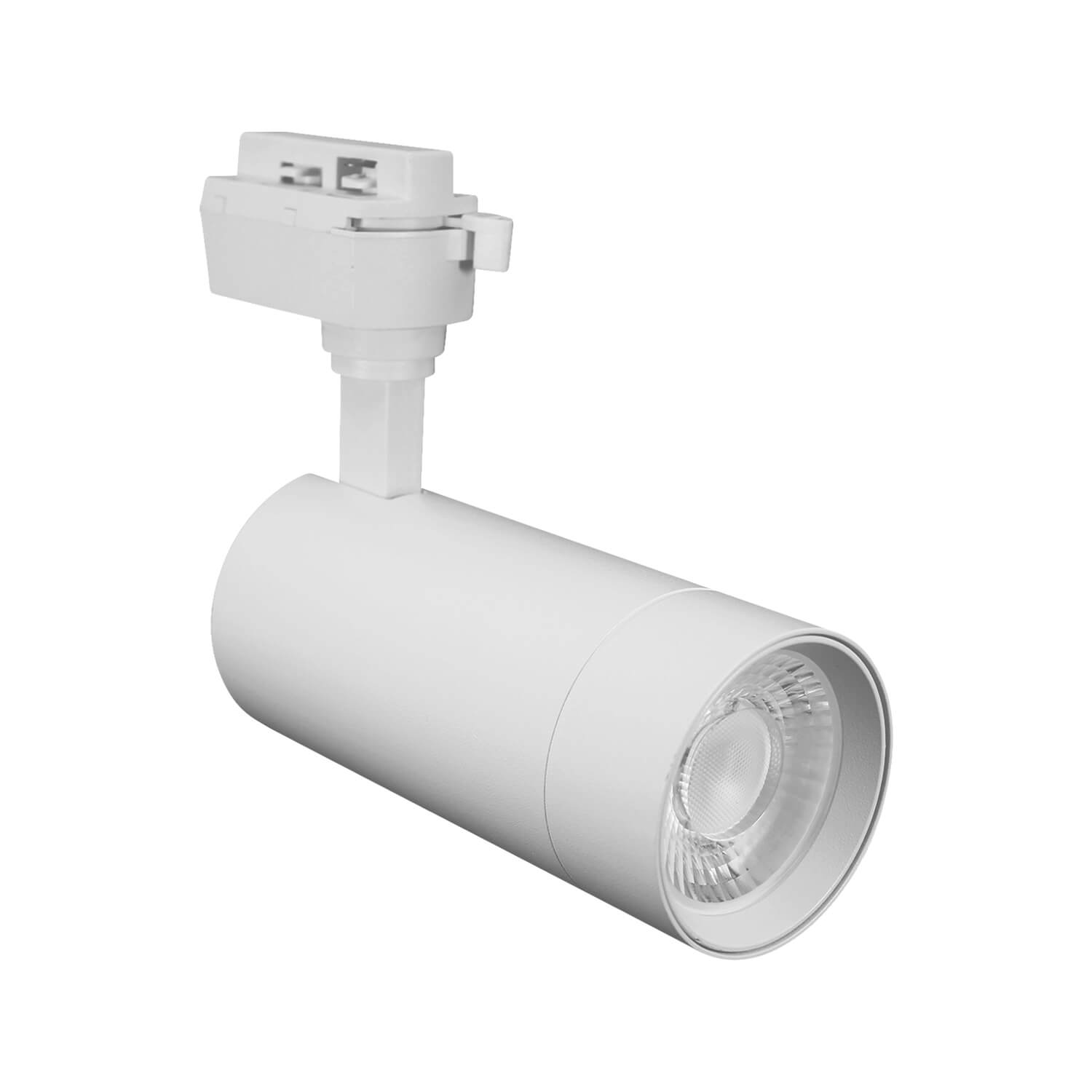 Foco Riel 20W Luz Cálida