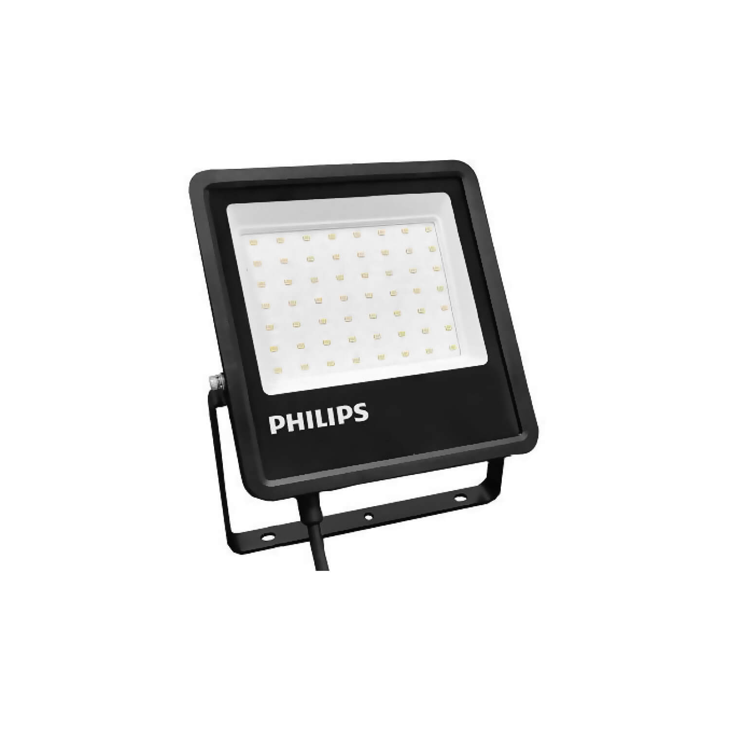 Proyector Essential Miniflood BVP150 G2 30W Luz Fría IP65 — Philips — Philips