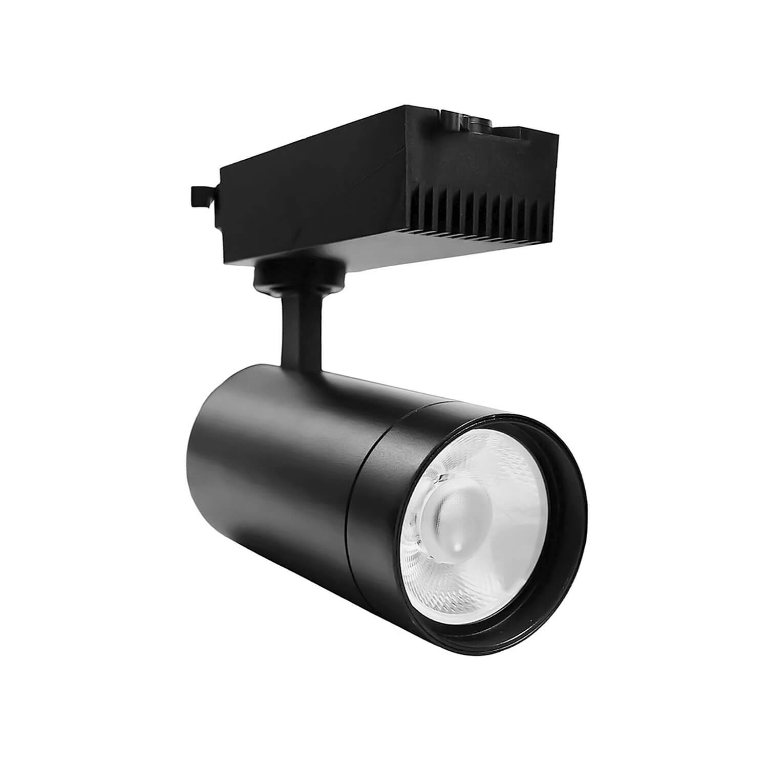 Foco Riel Big 30W Luz Cálida