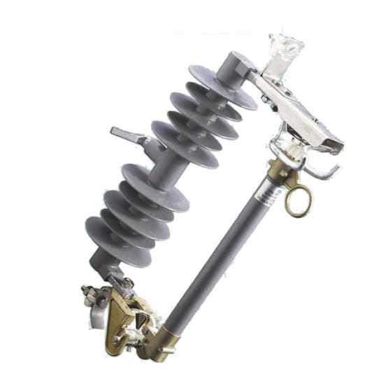 Desconectador Fusible 100A 25kV 673mm ELEXOR